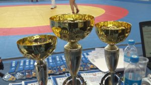 В Благовещенске назвали сильнейших представителей силовых структур в турнире по самбо - gtrkamur.ru