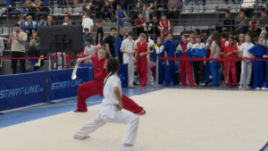 350 ушуистов сразились за медали чемпионата ДФО в Благовещенске к 20-летию федерации - gtrkamur.ru