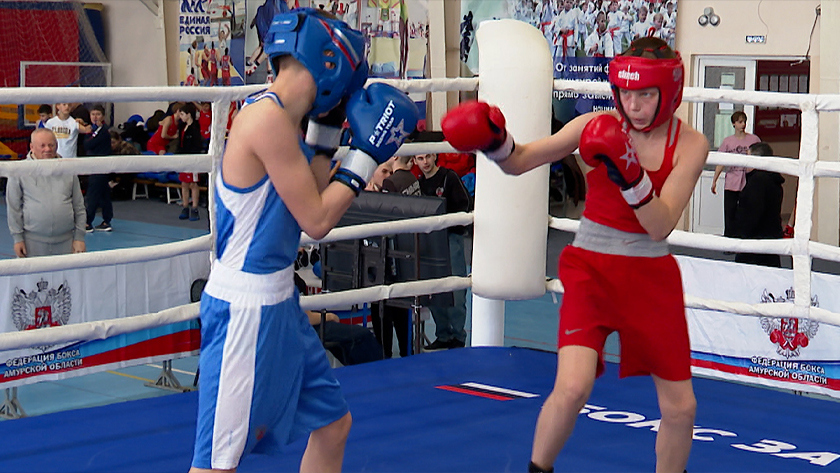 150 юных боксеров ДФО сражаются в Благовещенске за путевки на всероссийское первенство - gtrkamur.ru