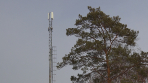 Федеральный проект устраняет цифровое неравенство: новая вышка появилась в Приамурье - gtrkamur.ru