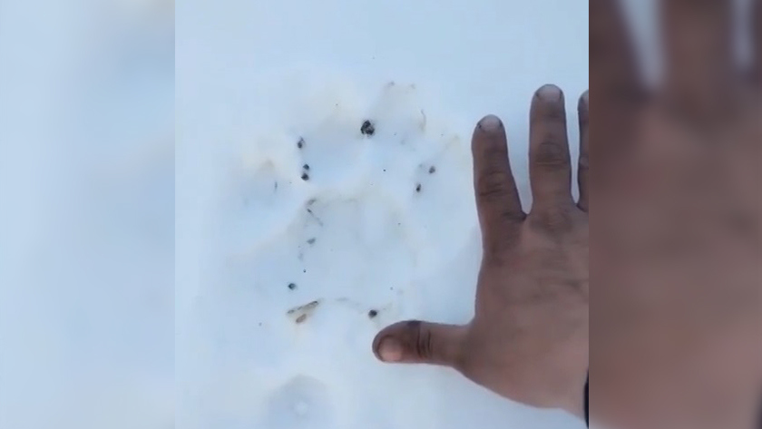 Главная - gtrkamur.ru