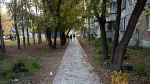 В ближайшие три года в амурской столице обновят тротуарную сеть - gtrkamur.ru