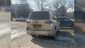 «Удобное место» оказалось дорогим: благовещенца наказали за парковку на газоне - gtrkamur.ru