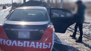 Букеты с обочин: в Благовещенске усилят контроль за незаконной продажей цветов  к 8 Марта - gtrkamur.ru