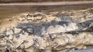 Загадка раскрыта: кто был захоронен в саркофаге, найденном в селе Албазино в прошлом году - gtrkamur.ru