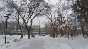 Вторая декада марта обещает быть в Приамурье теплее норм из-за серии циклонов - gtrkamur.ru