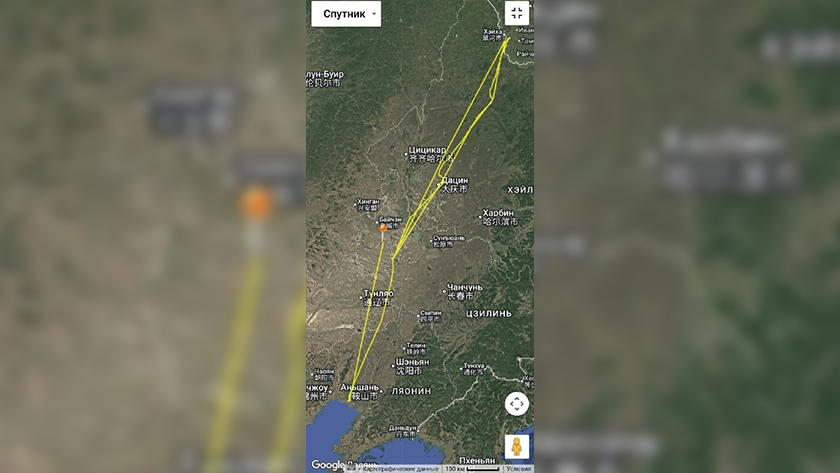 Журавль Снежинка на пути в Приамурье: орнитолог показал траекторию движения краснокнижной птицы - gtrkamur.ru