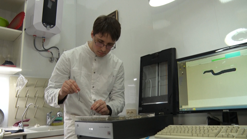 Восемь научных проектов из Амурской области профинансируют на 20 миллионов рублей - gtrkamur.ru