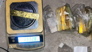 В Благовещенске иностранец прятал в вентиляционной шахте съемной квартиры 20 килограммов золота - gtrkamur.ru