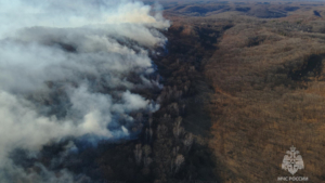 32 пала на площади почти в 300 гектаров потушили в Приамурье за сутки - gtrkamur.ru