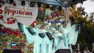 Фестиваль «Таежная брусничка» соберет гостей в Зее в сентябре - gtrkamur.ru