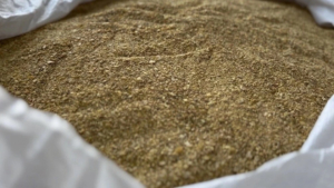 70 партий растительных кормов из Приамурья отправили за месяц в Китай - gtrkamur.ru