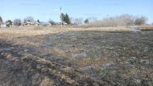 33 виновника палов травы наказали в Приамурье, среди них 18 детей - gtrkamur.ru