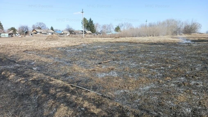 Главная - gtrkamur.ru