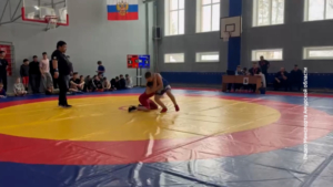 Полсотни медалей взяли амурские спортсмены на всероссийских соревнованиях по вольной борьбе - gtrkamur.ru
