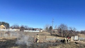 Обычная зола чуть не сожгла село: пожар в Тамбовке мог оставить людей без домов - gtrkamur.ru