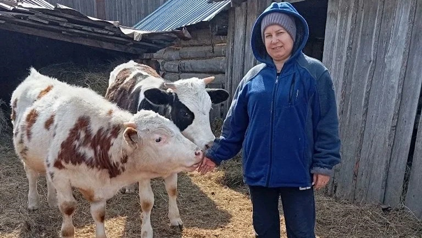 37 многодетных амурчан оформили соцконтракты в 2026 году - gtrkamur.ru