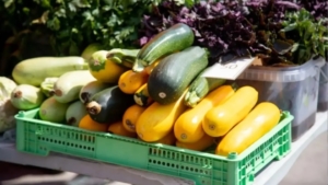 Нет – торговле из багажников и коробок: в Благовещенске продолжаются рейды - gtrkamur.ru