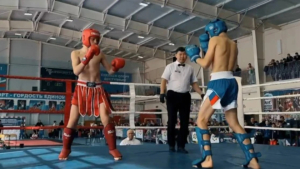 Более полутысячи бойцов: турнир по кикбоксингу объединил Дальний Восток в Благовещенске - gtrkamur.ru