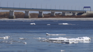 Синоптики предупредили амурчан о циклонах и росте пожароопасности - gtrkamur.ru