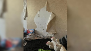 Без присмотра и в антисанитарии: многодетную благовещенку поставили на учёт в ПДН - gtrkamur.ru