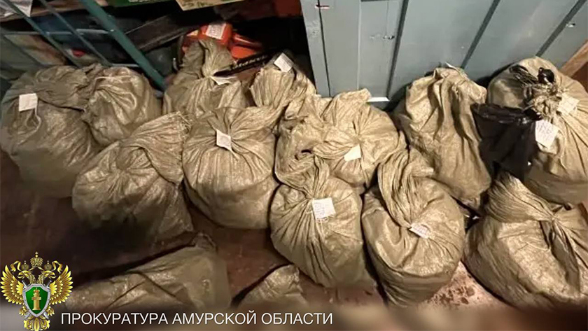 25 кг конопли и рецидив: житель Аркадьевки получил 4,5 года строгого режима - gtrkamur.ru