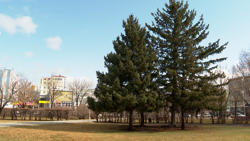 Дождь и снег: прогноз погоды на 24 апреля в Приамурье - gtrkamur.ru