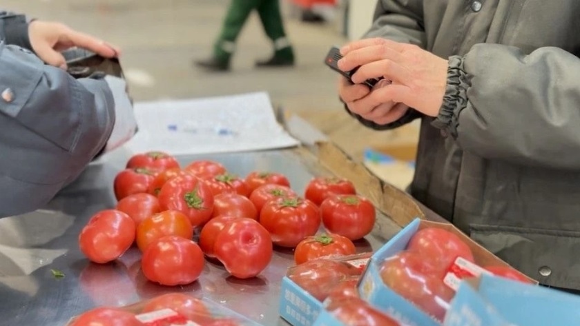 Фрукты, цветы и тапиока: в Приамурье поступили тысячи тонн продукции из Китая - gtrkamur.ru