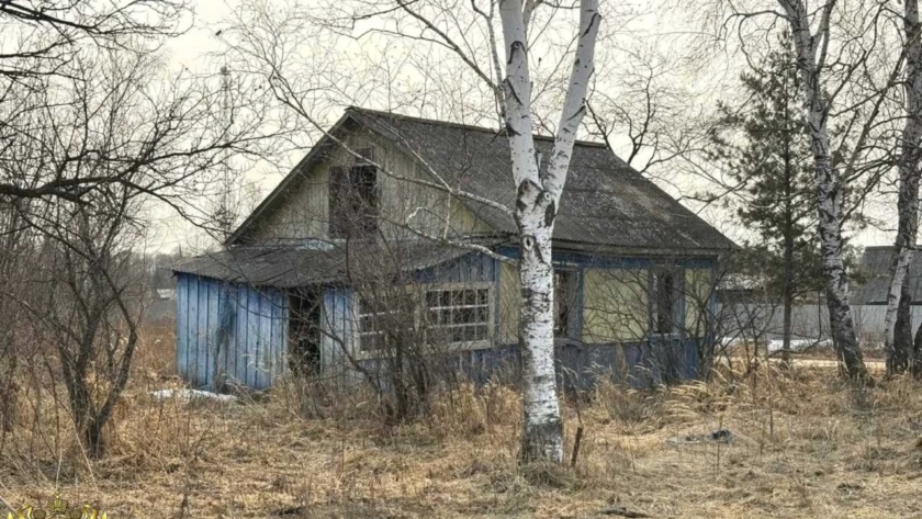 Купила дом без окон и дверей: жительница Мазановского округа лишилась материнского капитала - gtrkamur.ru