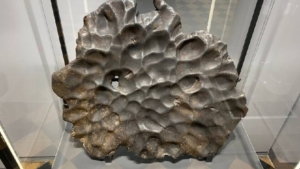 4,8 миллиарда лет и 44 килограмма: в Благовещенске «живёт» гость из космоса - gtrkamur.ru