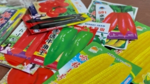 Семена без документов: в Приамурье пресекли 15 попыток ввоза неизвестной продукции из Китая - gtrkamur.ru