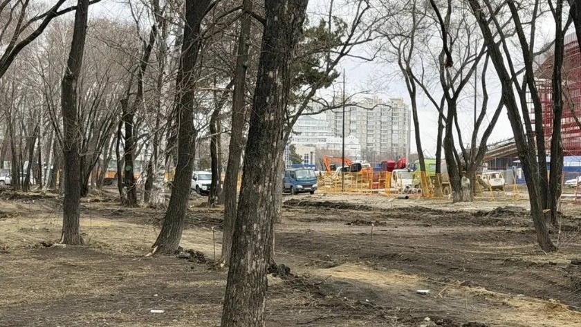 Сквер за БГПУ в областном центре хотят обновить раньше срока – уже к маю - gtrkamur.ru