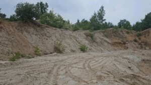 Полмиллиона за испорченную землю: с амурской компании взыскали ущерб за незаконную добычу песка - gtrkamur.ru