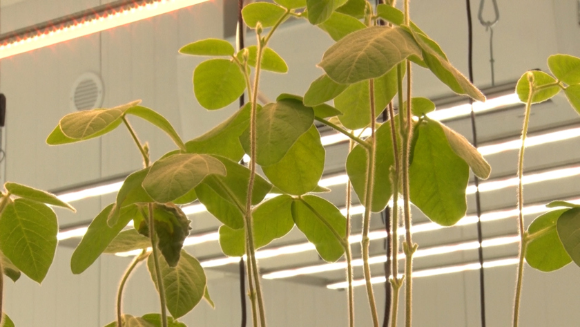 Главная - gtrkamur.ru