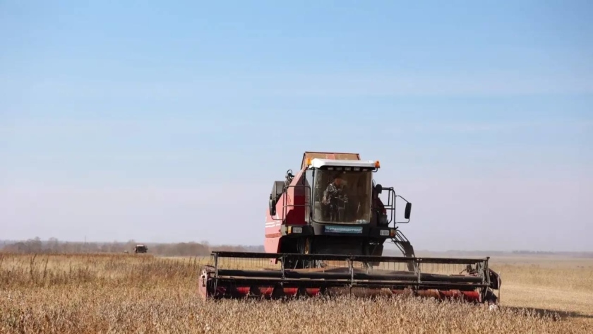 Роботы на полях и субсидии до 50%: аграриям Приамурья станут доступны новые меры поддержки - gtrkamur.ru