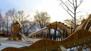 Дракон, гамаки и вид на Китай: парк 40 лет ВЛКСМ в Благовещенске превращается в «Амурский лес» - gtrkamur.ru