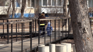 Местами осадки: прогноз погоды на 16 апреля в Приамурье - gtrkamur.ru