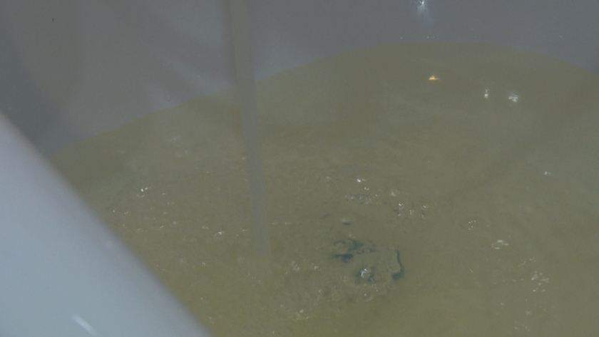 Благовещенцы жалуются на изменение цвета и запаха воды — всё в пределах санитарных норм - gtrkamur.ru