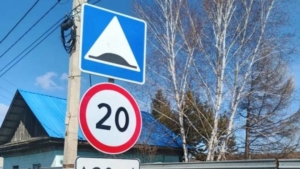 К сезону готовы: в амурской столице приводят в порядок садовые маршруты - gtrkamur.ru