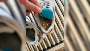 Золото на 2,5 млн рублей спрятал в кроссовки иностранец, чтобы вывезти из Благовещенска в Хэйхэ - gtrkamur.ru