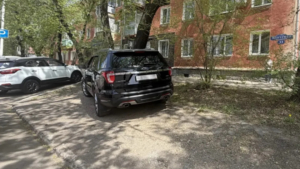 В мае благовещенцев оштрафовали на 600 тысяч рублей за парковку с нарушениями - gtrkamur.ru