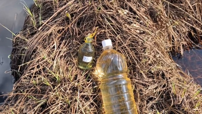 Учёные проверили воду в Норском заповеднике — она оказалась чистой - gtrkamur.ru