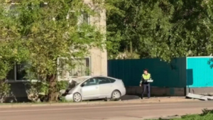 Toyota Prius врезалась в дерево на 50 лет Октября: двое погибших - gtrkamur.ru
