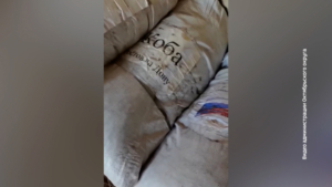 Артиллеристы из СВО поблагодарили волонтёров Октябрьского округа за маскировочные сети - gtrkamur.ru