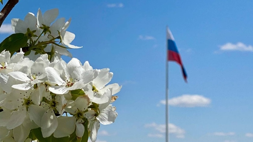Туманы ночью и потепление днём: прогноз погоды в Амурской области - gtrkamur.ru