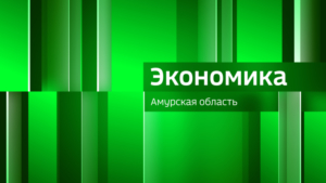Амурская область входит в число регионов с наиболее развитой торговой инфраструктурой - gtrkamur.ru