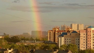 Грозы ночью, тепло днём: прогноз погоды в Приамурье на 12 июня - gtrkamur.ru