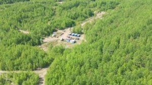 Бизнес и экология: в Приамурье заключили 119 новых договоров аренды лесов - gtrkamur.ru