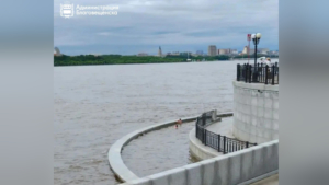 Прохожий спас двоих детей от возможной беды на набережной Благовещенска - gtrkamur.ru