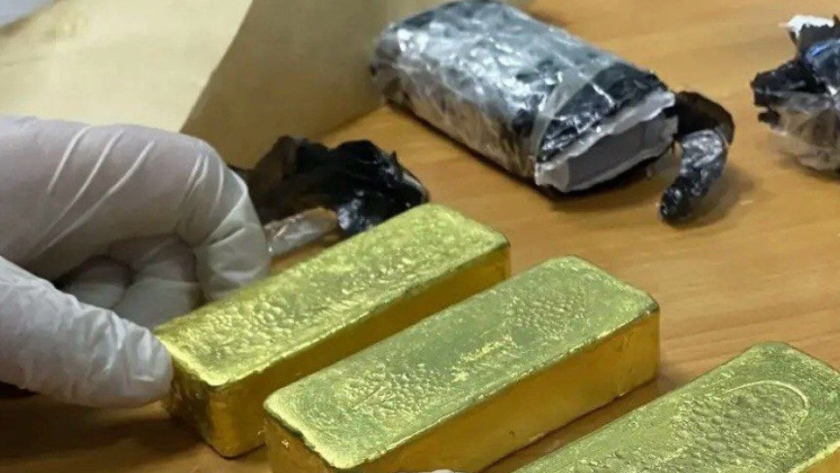 Слитки в подлокотнике и посылка с радиодеталями: благовещенец осуждён за контрабанду золота - gtrkamur.ru